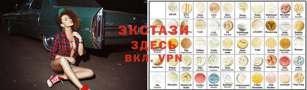 шишки Губаха