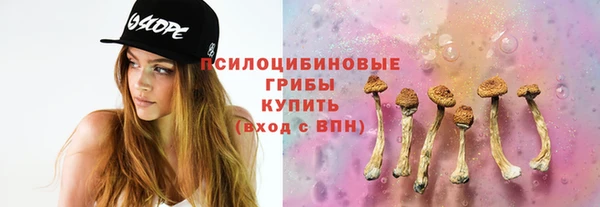прущие крисы Рославль