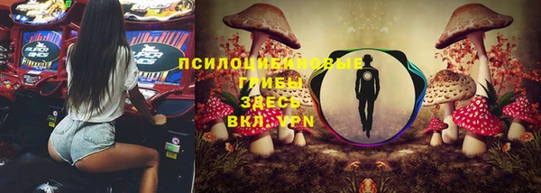 крисы Россошь