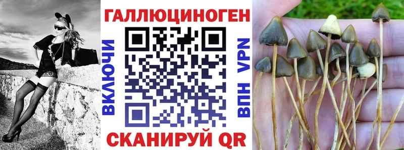 Галлюциногенные грибы MAGIC MUSHROOMS  Терек 