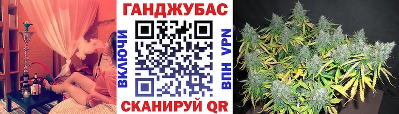 Шишки марихуана план  ссылка на мегу как зайти  Терек 